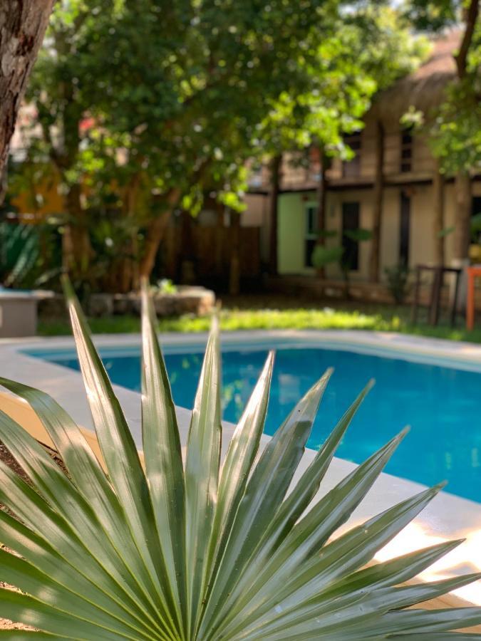 Ammare Hotel Boutique Playa del Carmen Eksteriør bilde
